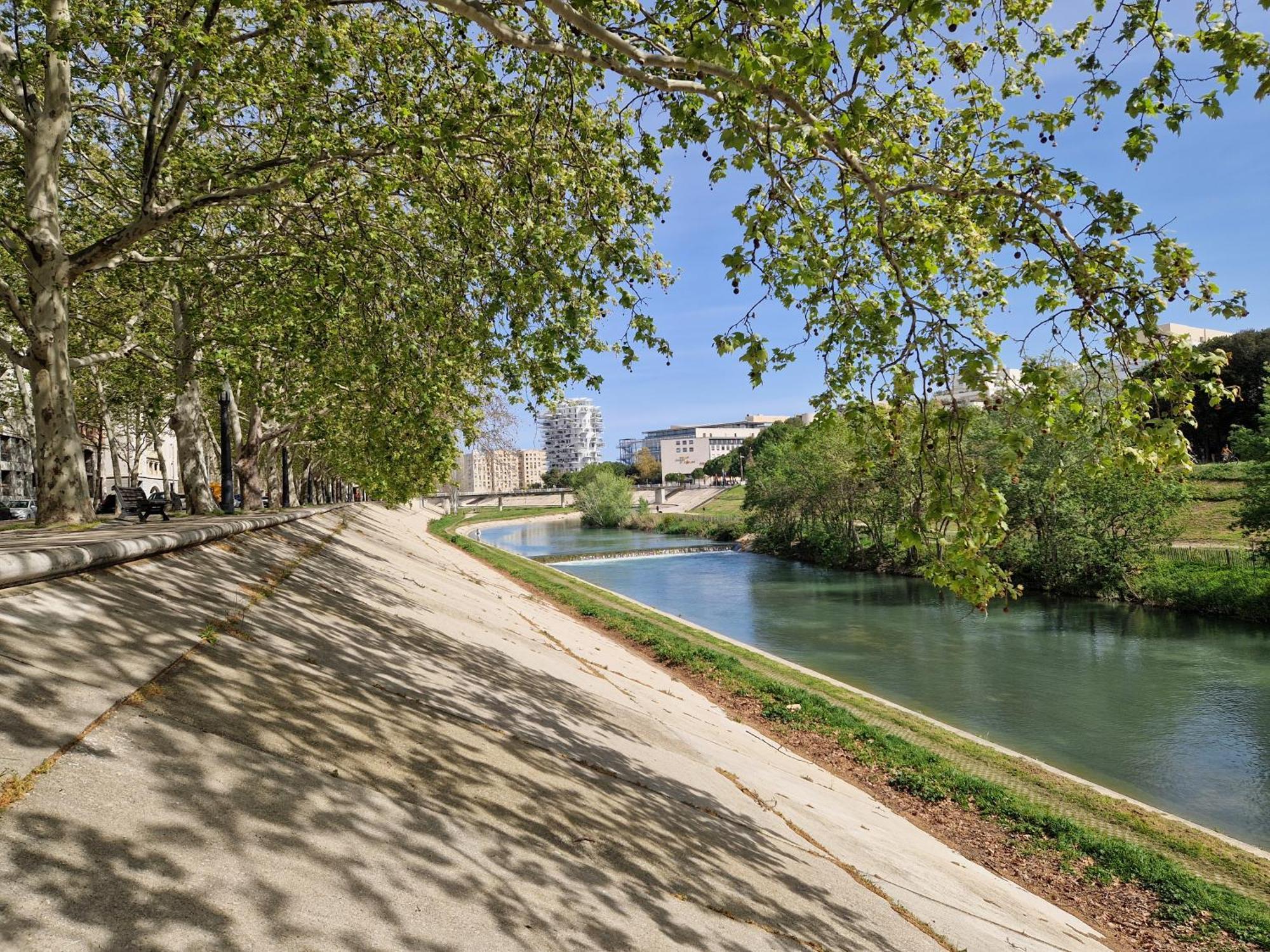 Appartement Avec Vue Sur Le Lez Montpellier Ngoại thất bức ảnh